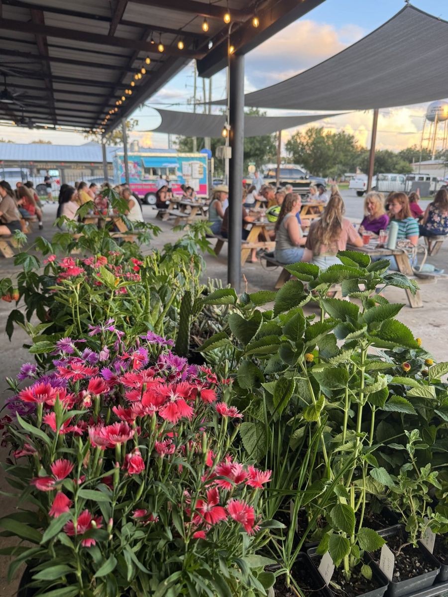 Plant Bingo in High Springs