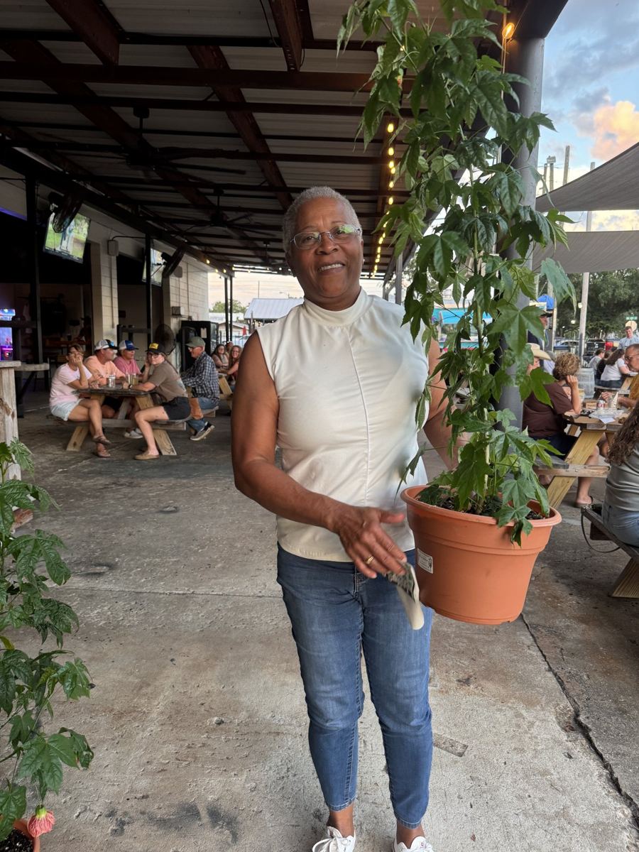 Plant Bingo in High Springs