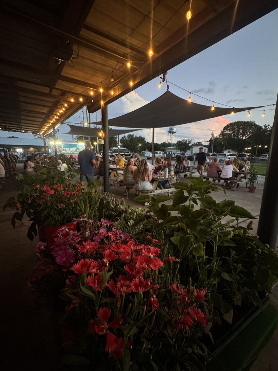 Plant Bingo in High Springs