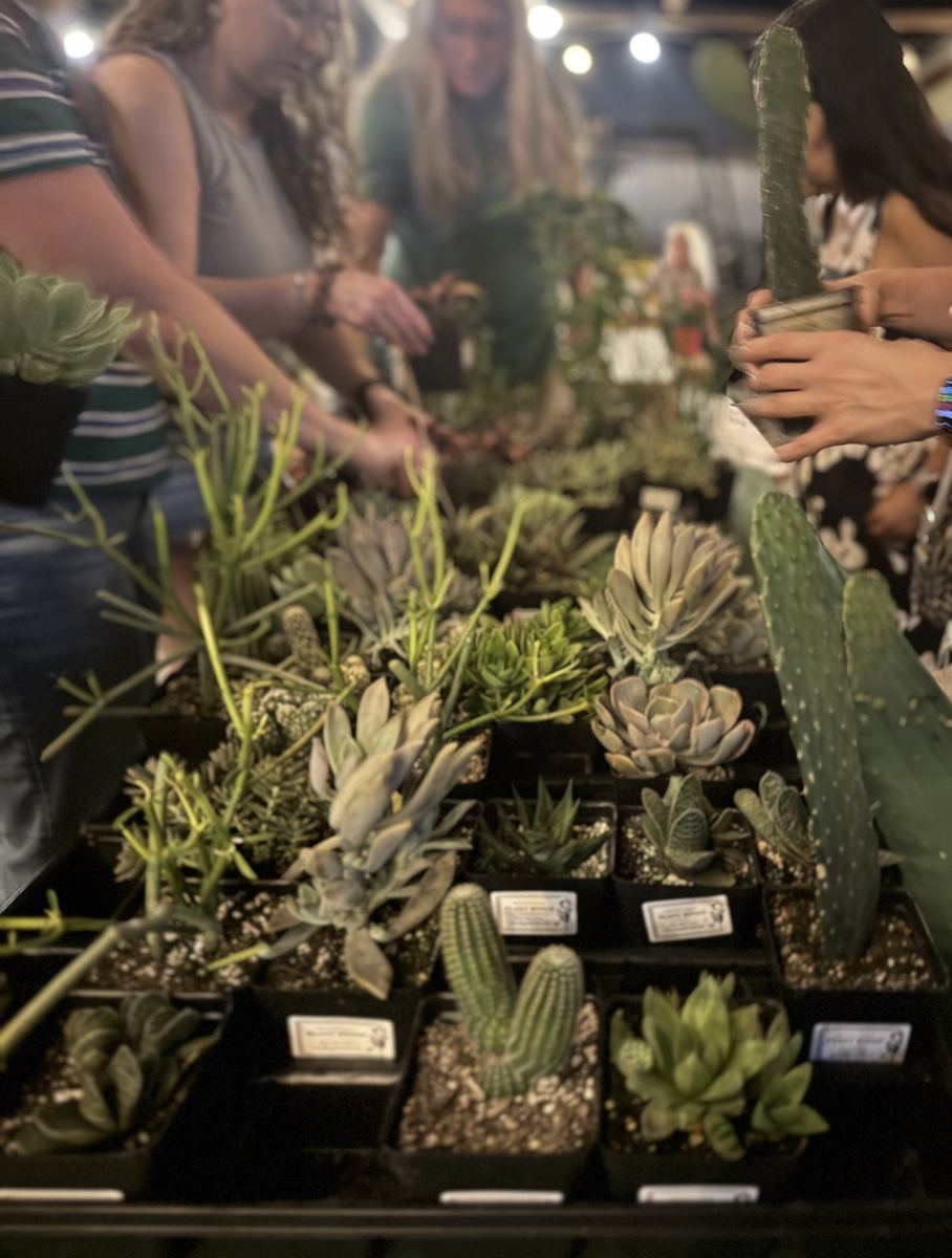 Plant Bingo in High Springs