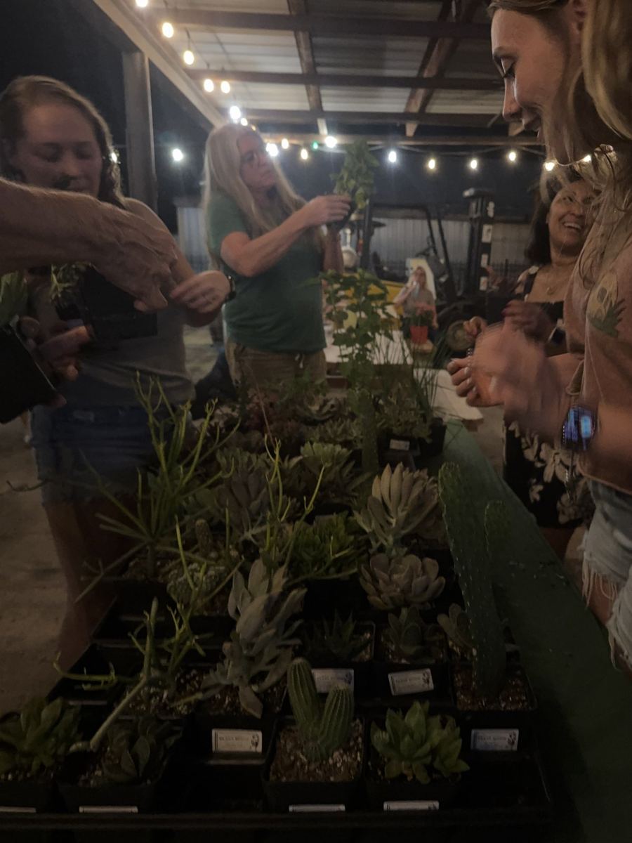 Plant Bingo in High Springs