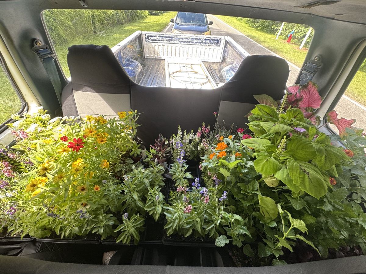 Plant Bingo in Ocala