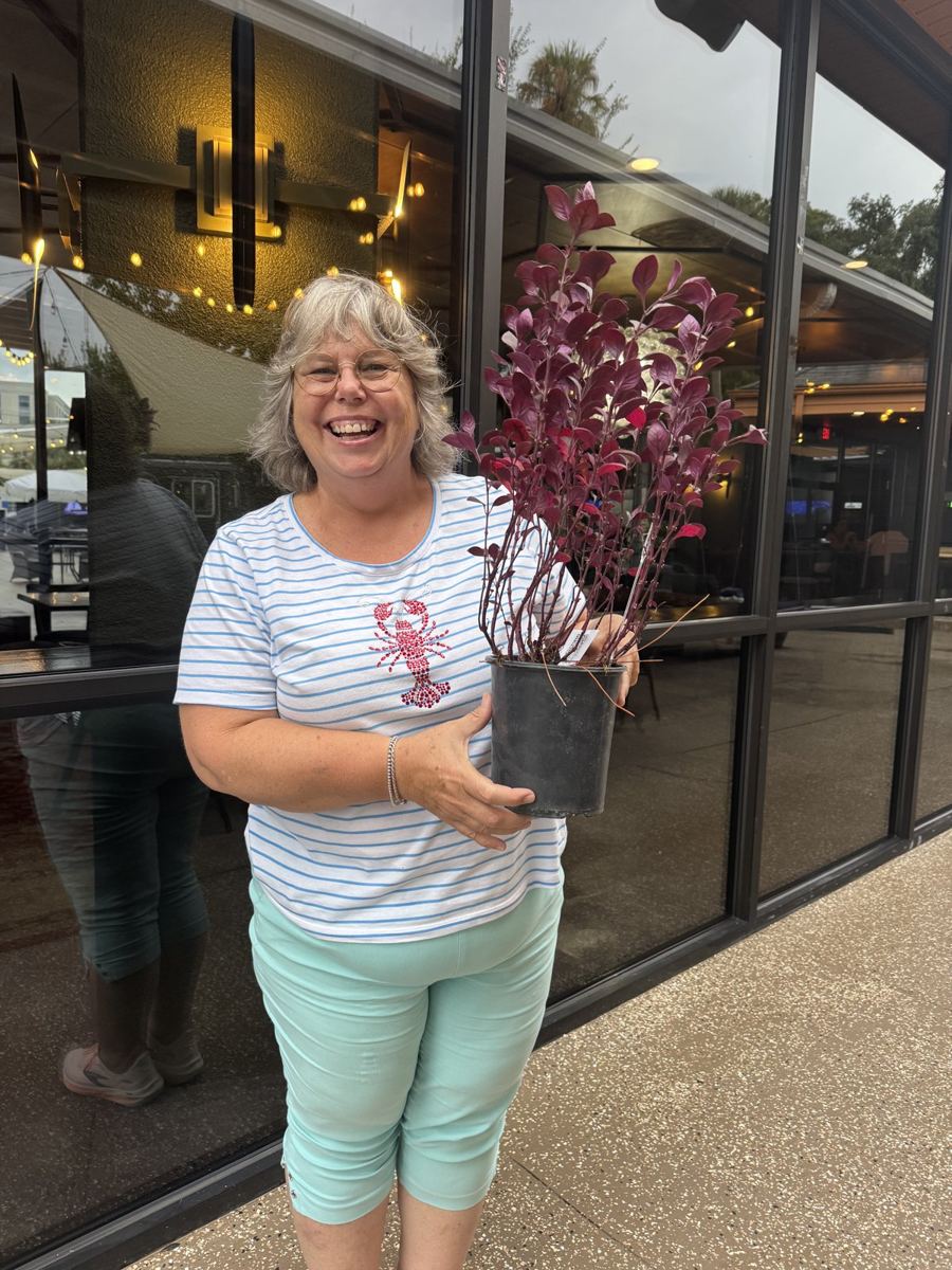 Plant Bingo in Ocala