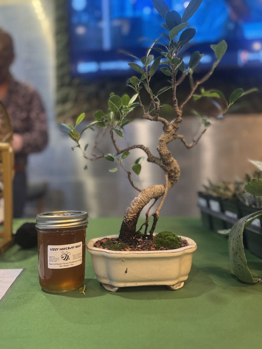 Plant Bingo in Ocala