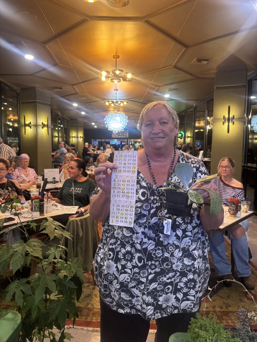 Plant Bingo in Ocala