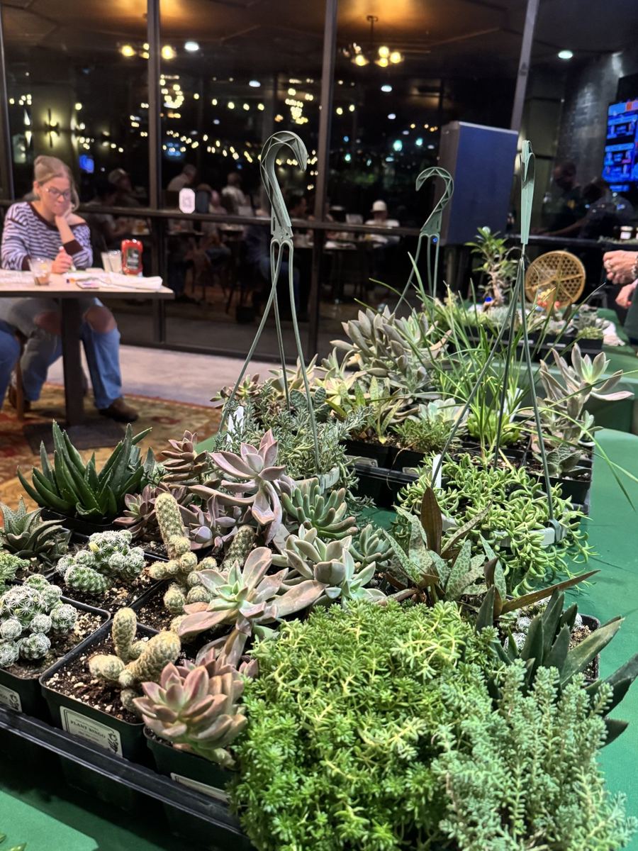Plant Bingo in Ocala
